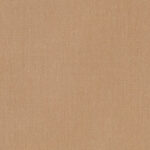 swatch for Canvas Raffia