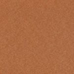 swatch for Cedar